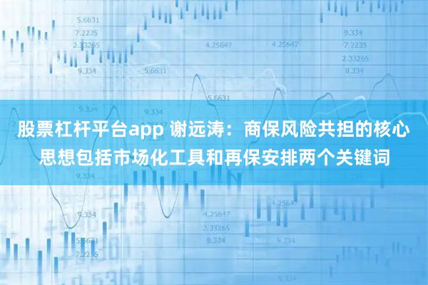 股票杠杆平台app 谢远涛：商保风险共担的核心思想包括市场化工具和再保安排两个关键词