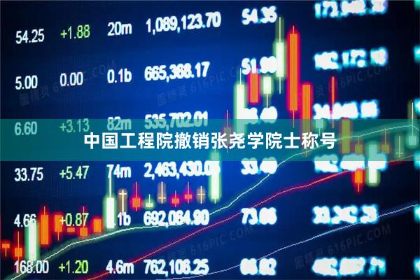 中国工程院撤销张尧学院士称号