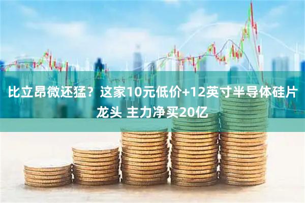 比立昂微还猛?这家10元低价+12英寸半导体硅片龙头 主力净买20亿