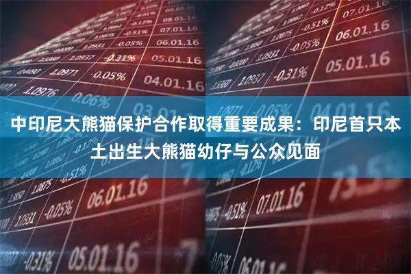 中印尼大熊猫保护合作取得重要成果：印尼首只本土出生大熊猫幼仔与公众见面