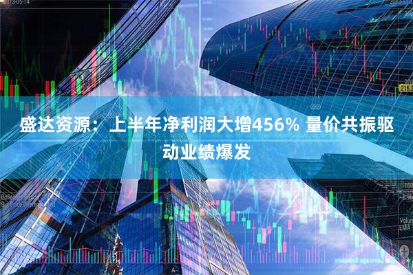 盛达资源：上半年净利润大增456% 量价共振驱动业绩爆发