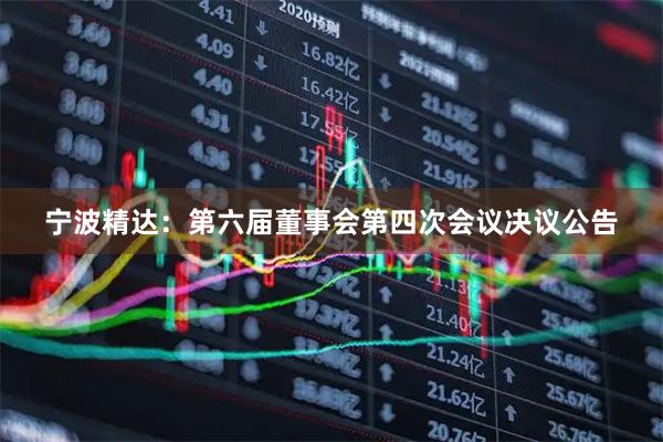 宁波精达：第六届董事会第四次会议决议公告