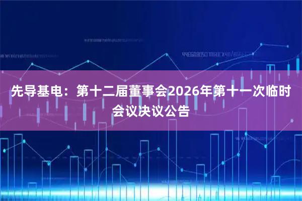 先导基电：第十二届董事会2026年第十一次临时会议决议公告